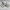 WHYTHERE? TELEGRAPH – Drewniany Wieszak Ścienny na Rower